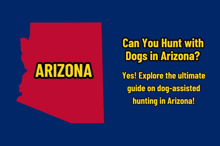 Can You Hunt with Dogs in Arizona?