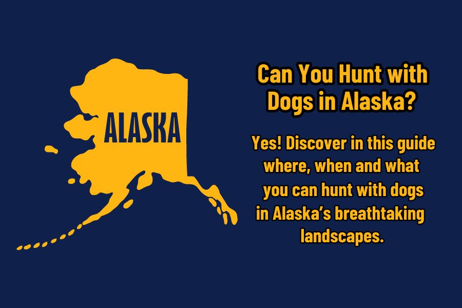 Can you hunt with dogs in Alaska?