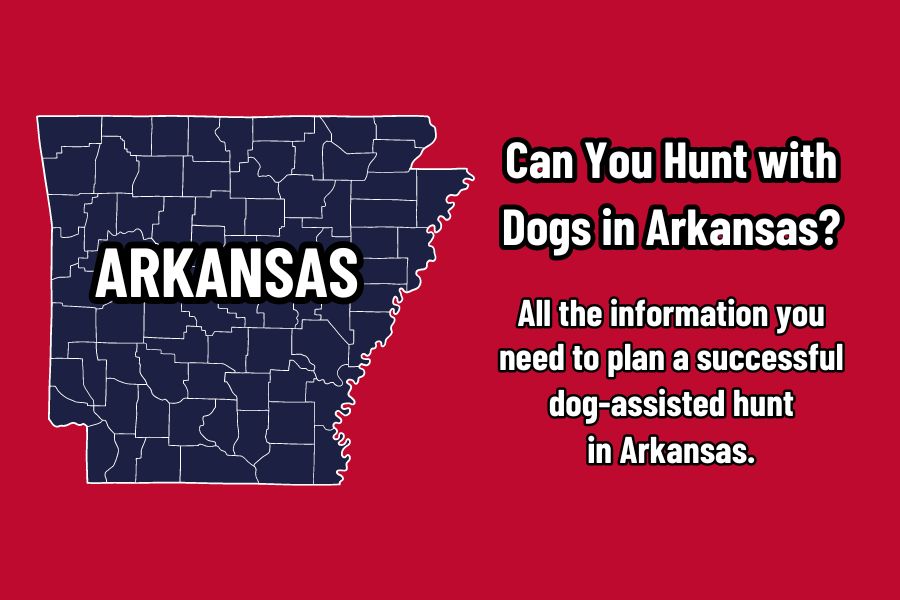 Can you hunt with dogs in Arkansas?